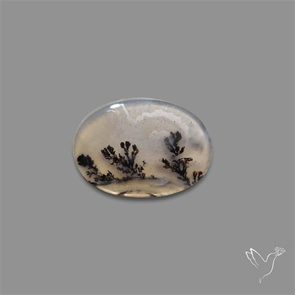 Scenic Agate Cabochon