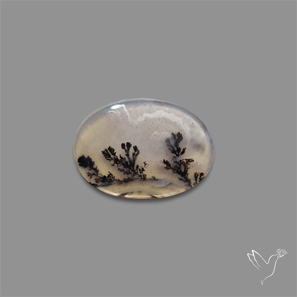 Scenic Agate Cabochon