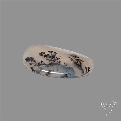 Scenic Agate Cabochon