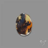 Scenic Agate Cabochon