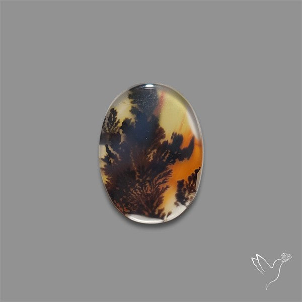 Scenic Agate Cabochon