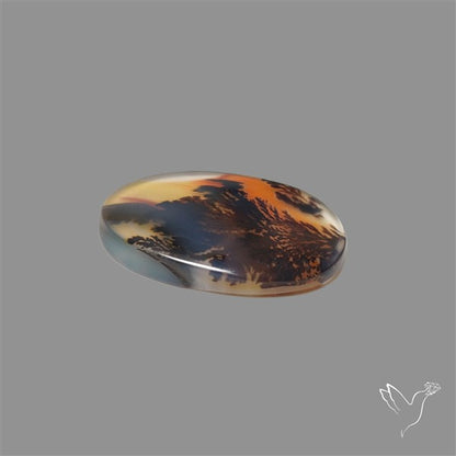 Scenic Agate Cabochon