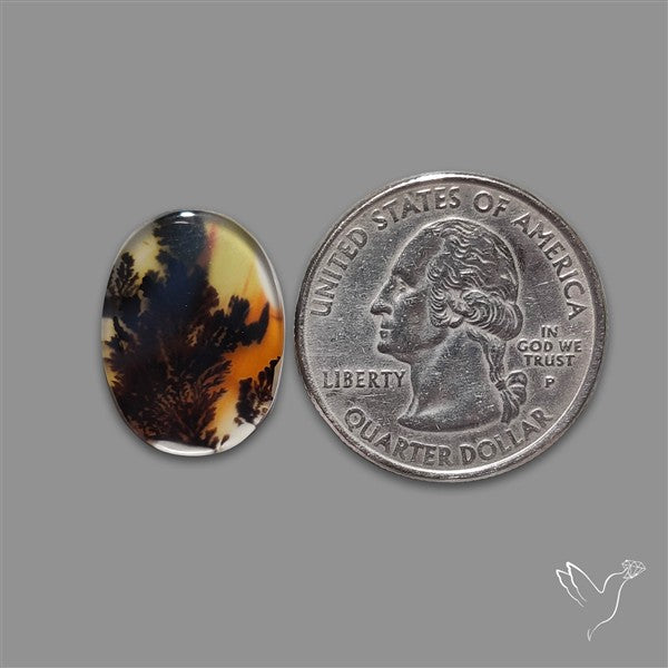 Scenic Agate Cabochon