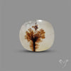 Scenic Agate Cabochon