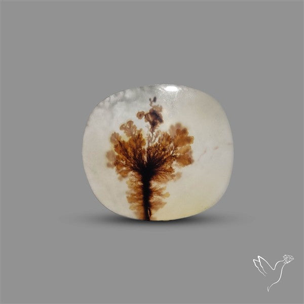Scenic Agate Cabochon