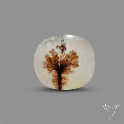 Scenic Agate Cabochon