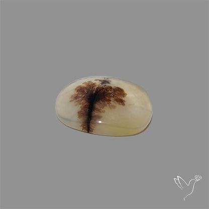 Scenic Agate Cabochon