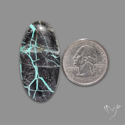 Blackjack Turquoise Cabochon