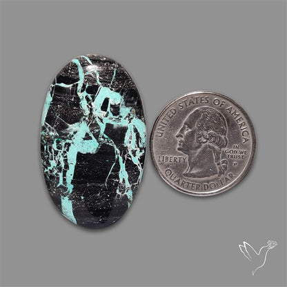 Blackjack Turquoise Cabochon