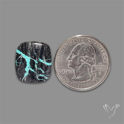 Blackjack Turquoise Cabochon