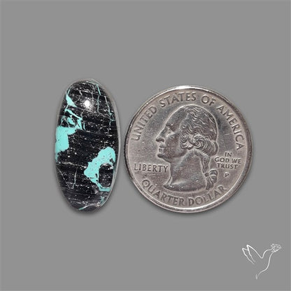 Blackjack Turquoise Cabochon