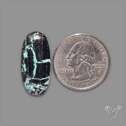 Blackjack Turquoise Cabochon