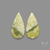 Opalized Serpentine Pair