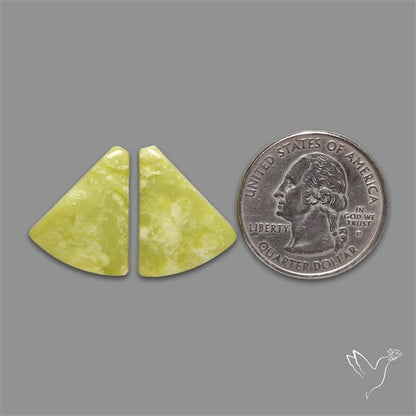 Opalized Serpentine Pair