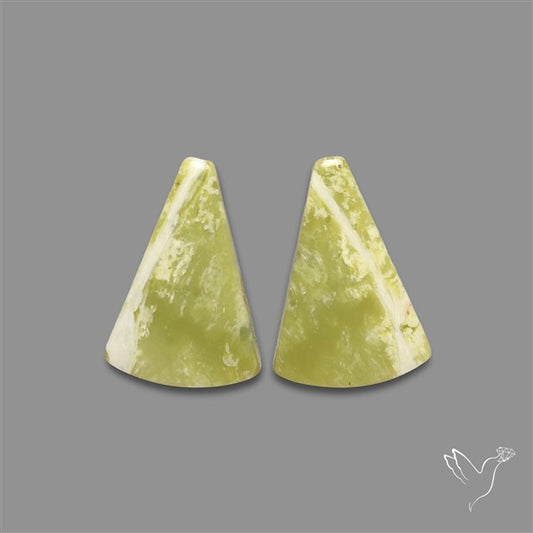 Opalized Serpentine Pair