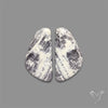 Lizardite Serpentine Pair