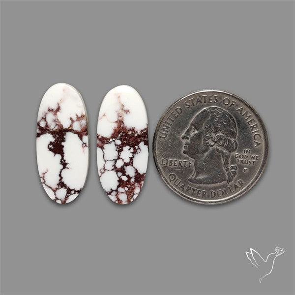 Wild Horse Jasper Pair