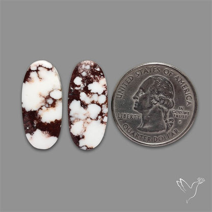 Wild Horse Jasper Pair