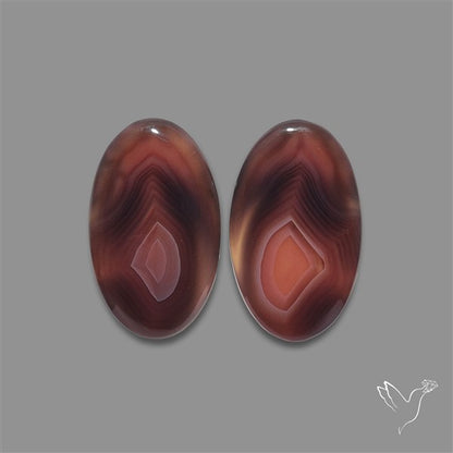 Botswana Agate Pair