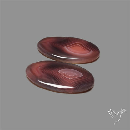 Botswana Agate Pair