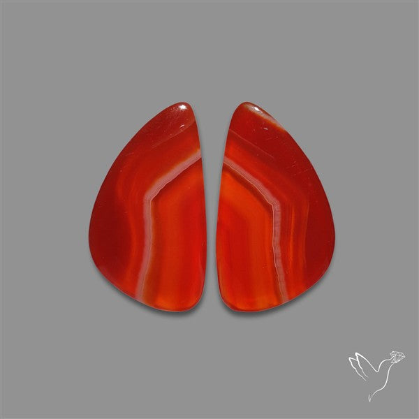 Lake Superior Agate Pair