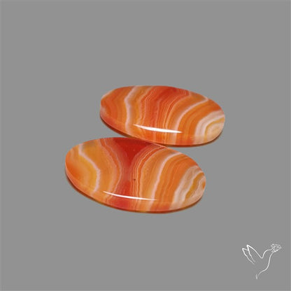 Lake Superior Agate Pair