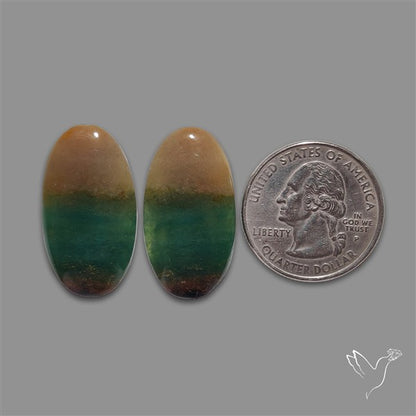 Moss Agate Pair