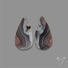 Botswana Agate Pair