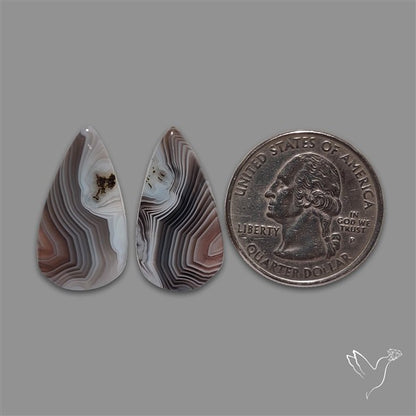 Botswana Agate Pair