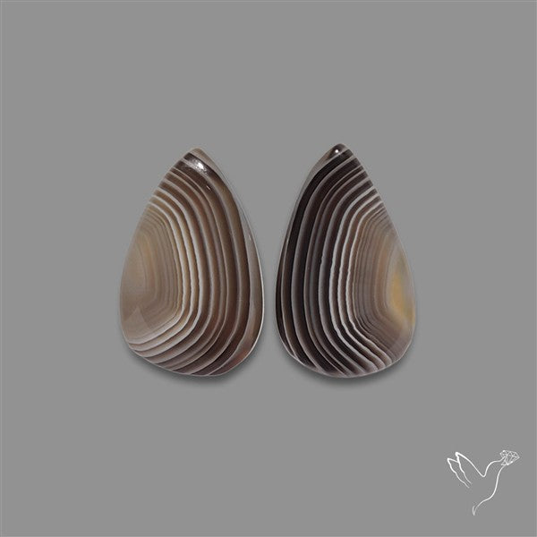Botswana Agate Pair