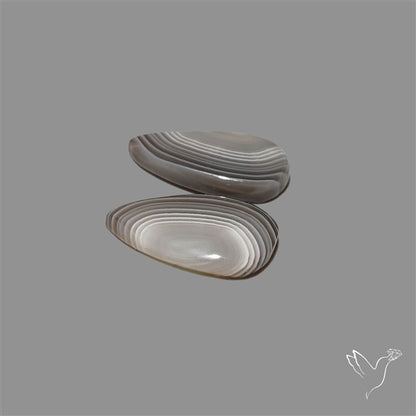 Botswana Agate Pair