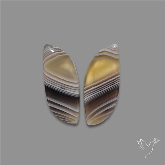 Botswana Agate Pair