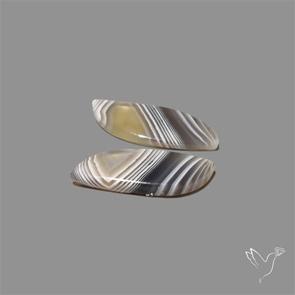 Botswana Agate Pair