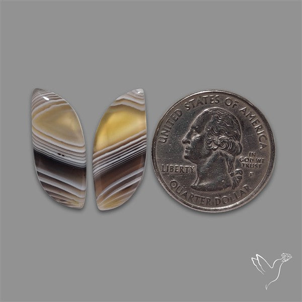 Botswana Agate Pair
