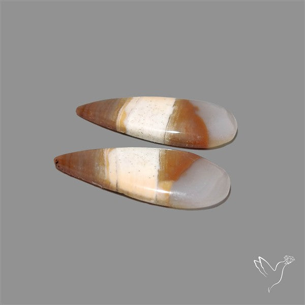 Jasper Pair