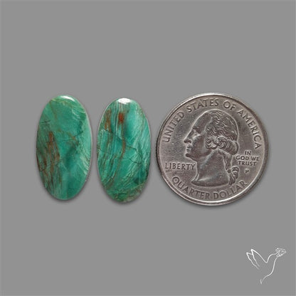 Gary Green Jasper Larsonite Pair