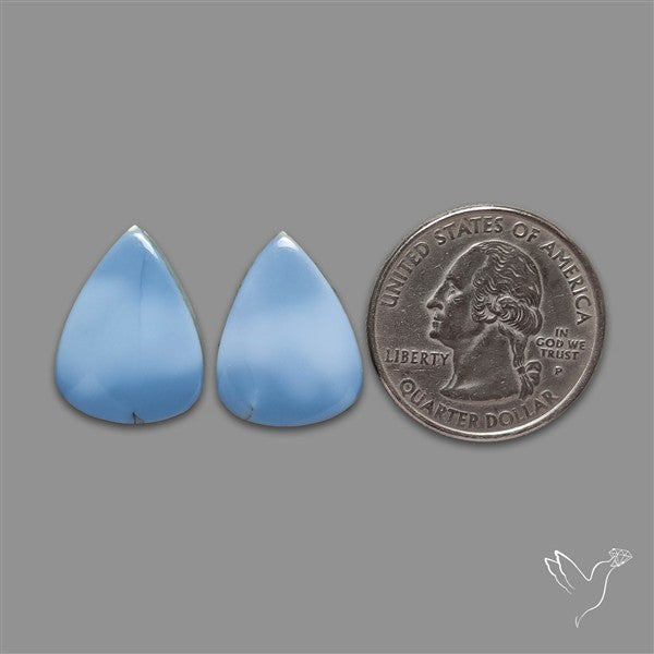 Owyhee Blue Opal Pair