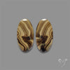 Schalenblende Pair