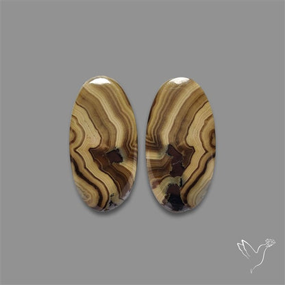 Schalenblende Pair