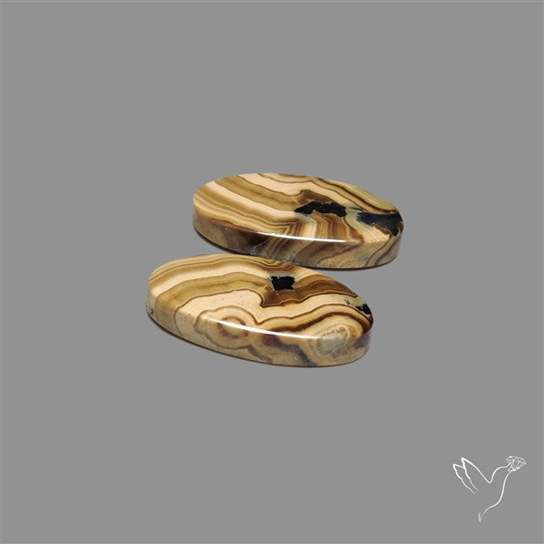 Schalenblende Pair