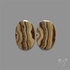 Schalenblende Pair