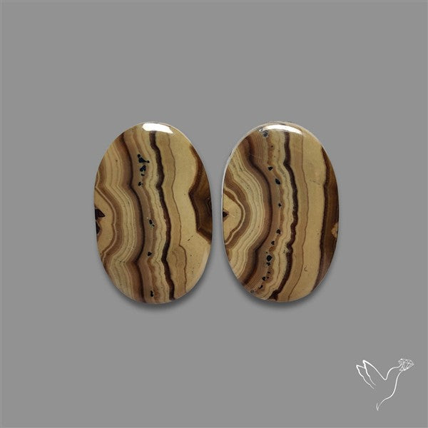 Schalenblende Pair