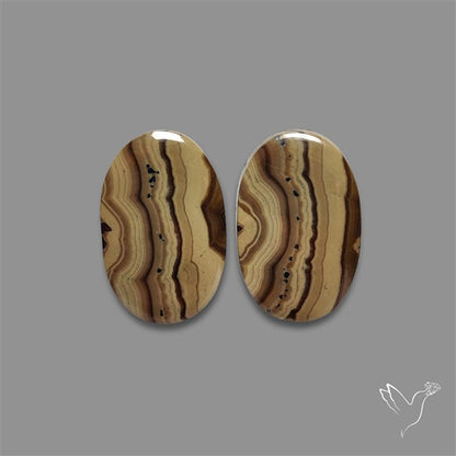 Schalenblende Pair