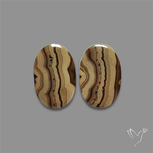 Schalenblende Pair