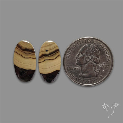 Schalenblende Pair