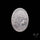 Mother Of Pearl Cameo Carving