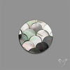Tahitian Mother Of Pearl Carving Inlay