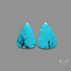 Arizona Turquoise Pair