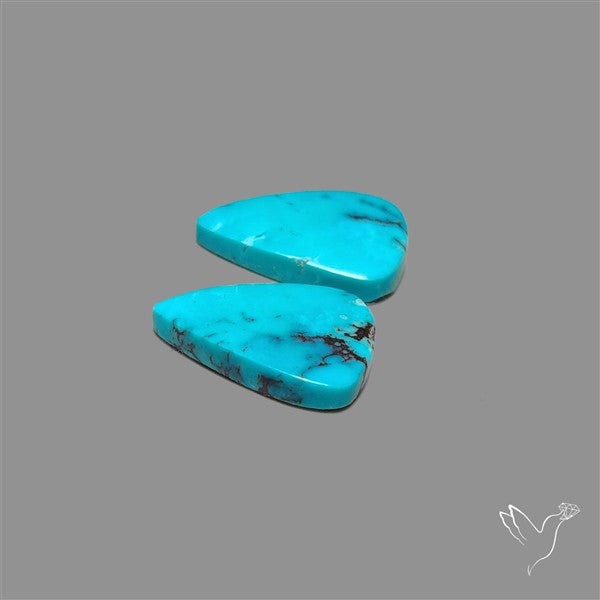 Arizona Turquoise Pair