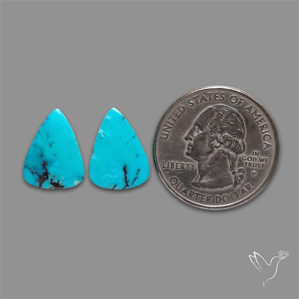 Arizona Turquoise Pair